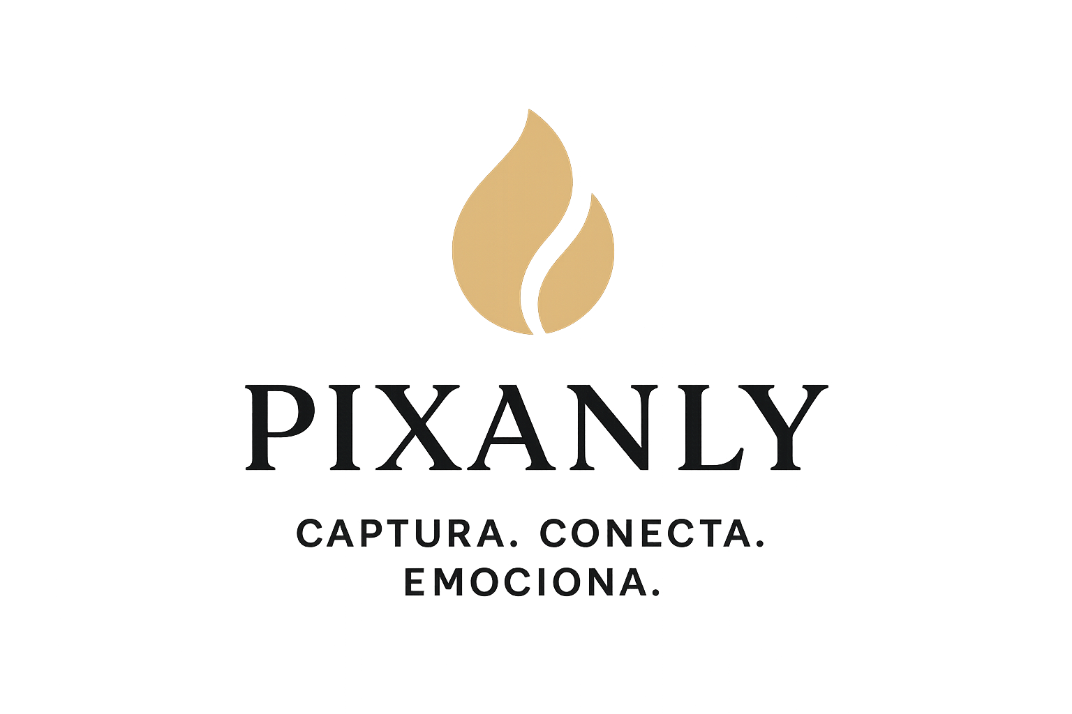 Logo Pixanly